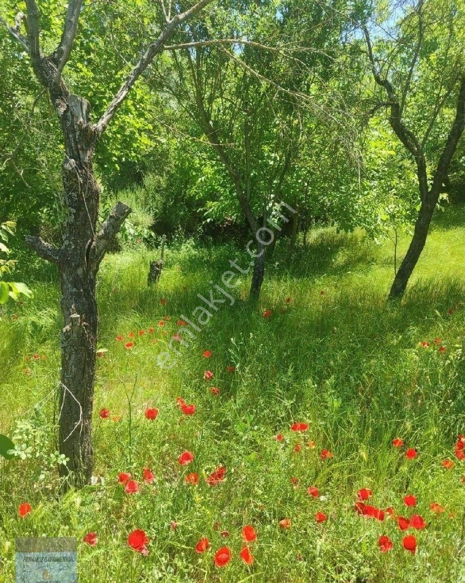 Bursa/keles-ıssızören Köyünde Satılık Köyiçi (imarlı) (438) M2. (arsa).