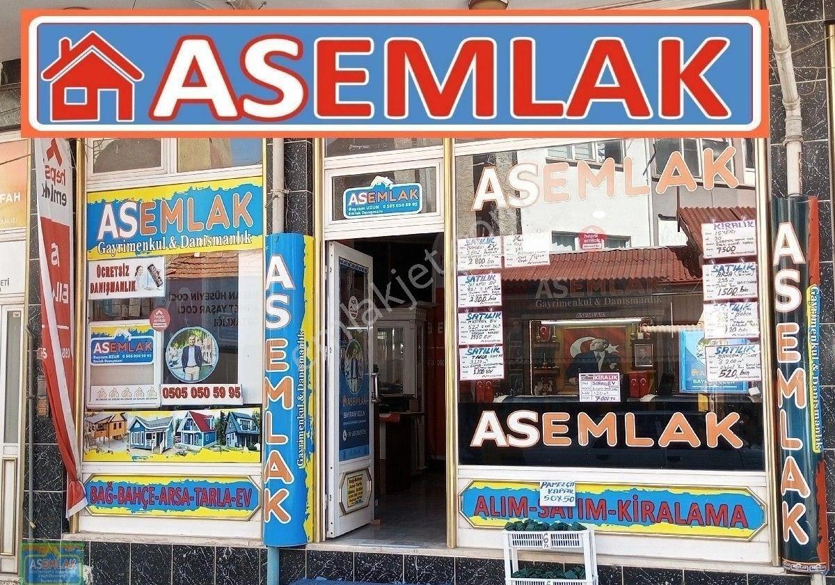 Gümüşhacıköy Gümüş Te Satılık Cevizlik. Asemlak Satıyor - Görsel 4
