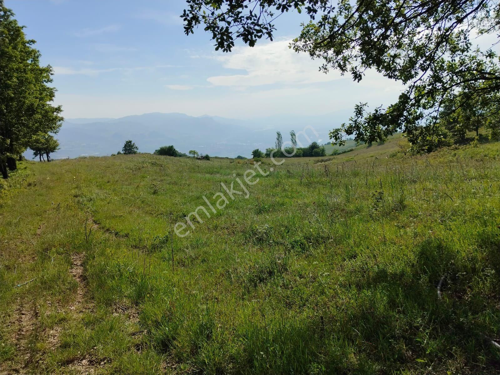 Geyve Doğantepede Mah. Satılık Tarla - Görsel 2