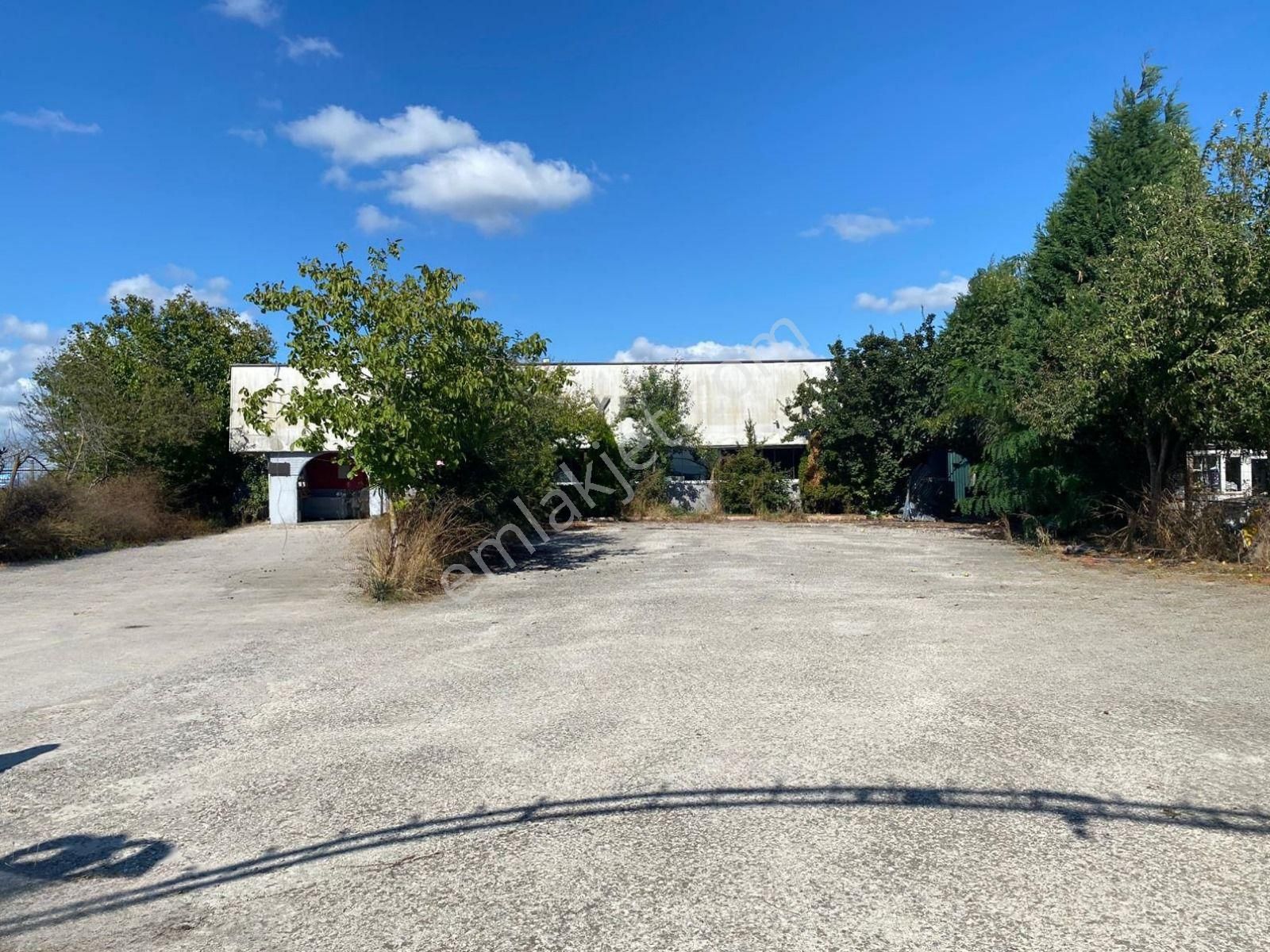 Söğütlüde Müşterisi Olan Satılık 3 Adet - Görsel 2