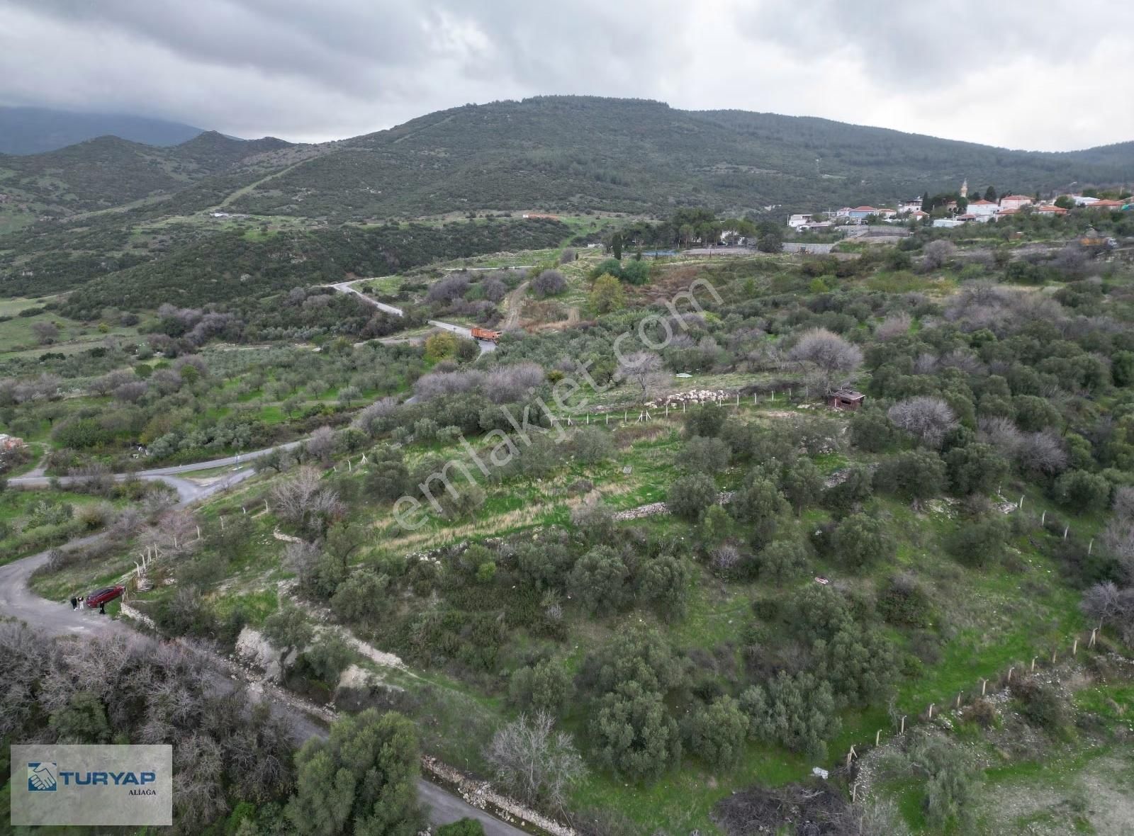Aliağa Güzelhisarda 6117m2 Müstakil Tapulu Zeytinlik - Görsel 4
