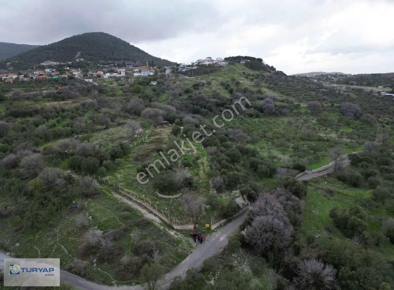 Aliağa Güzelhisarda 6117m2 Müstakil Tapulu Zeytinlik - Görsel 5