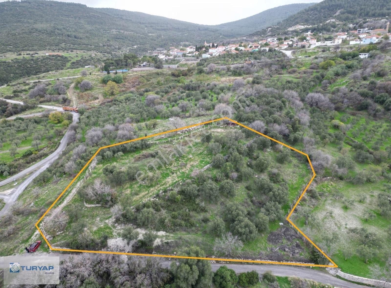 Aliağa Güzelhisarda 6117m2 Müstakil Tapulu Zeytinlik - Görsel 8
