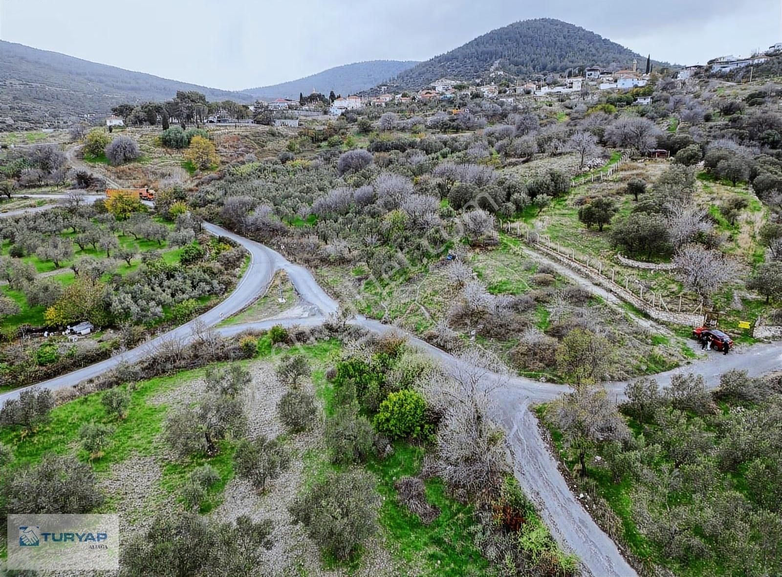 Aliağa Güzelhisarda 6117m2 Müstakil Tapulu Zeytinlik