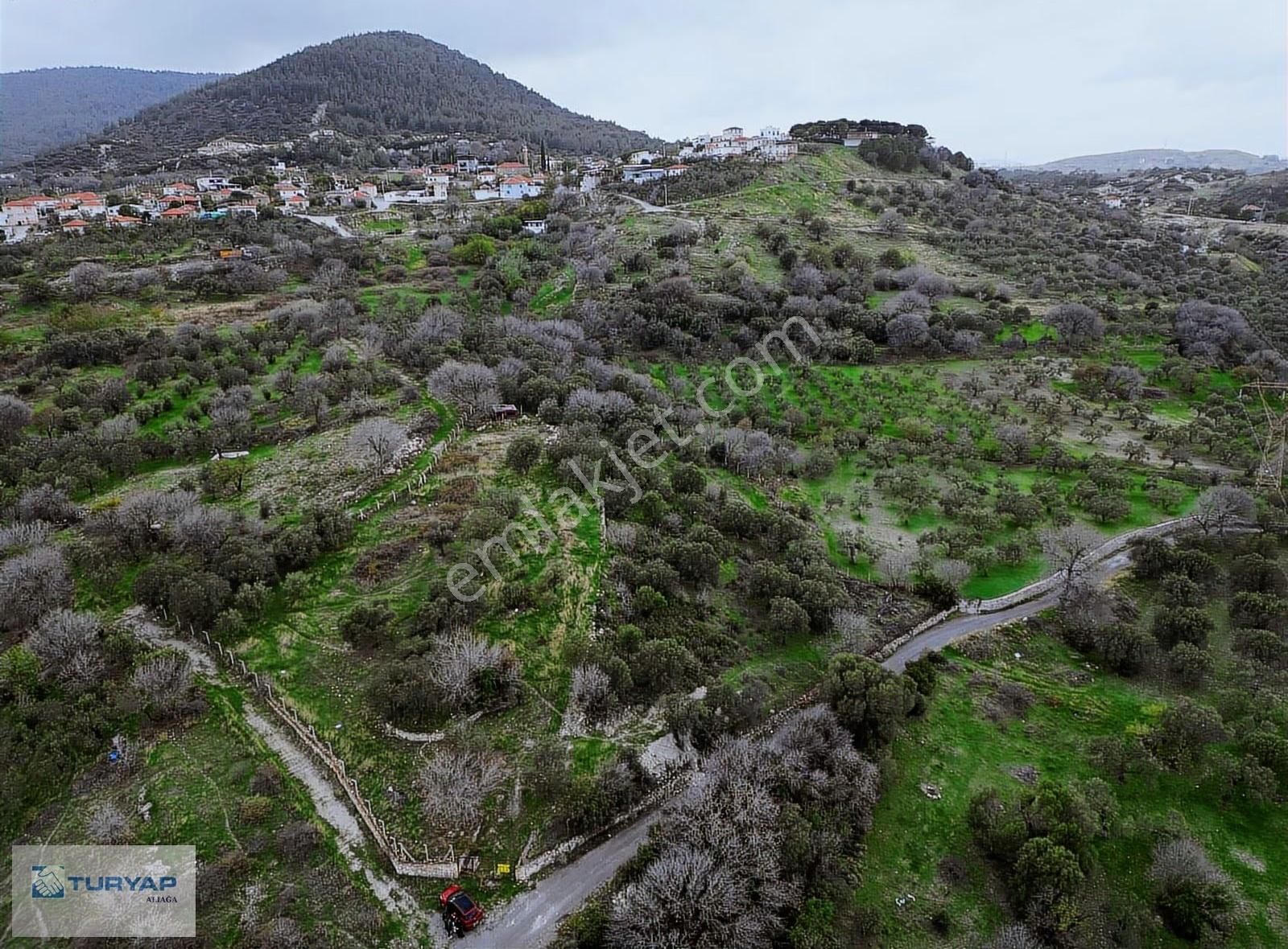 Aliağa Güzelhisarda 6117m2 Müstakil Tapulu Zeytinlik - Görsel 2