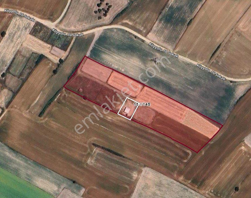 Bahçeağılda İçinde 2+1 Prefabrik Olan 769 M2 Satılık Bağ Evi - Görsel 14
