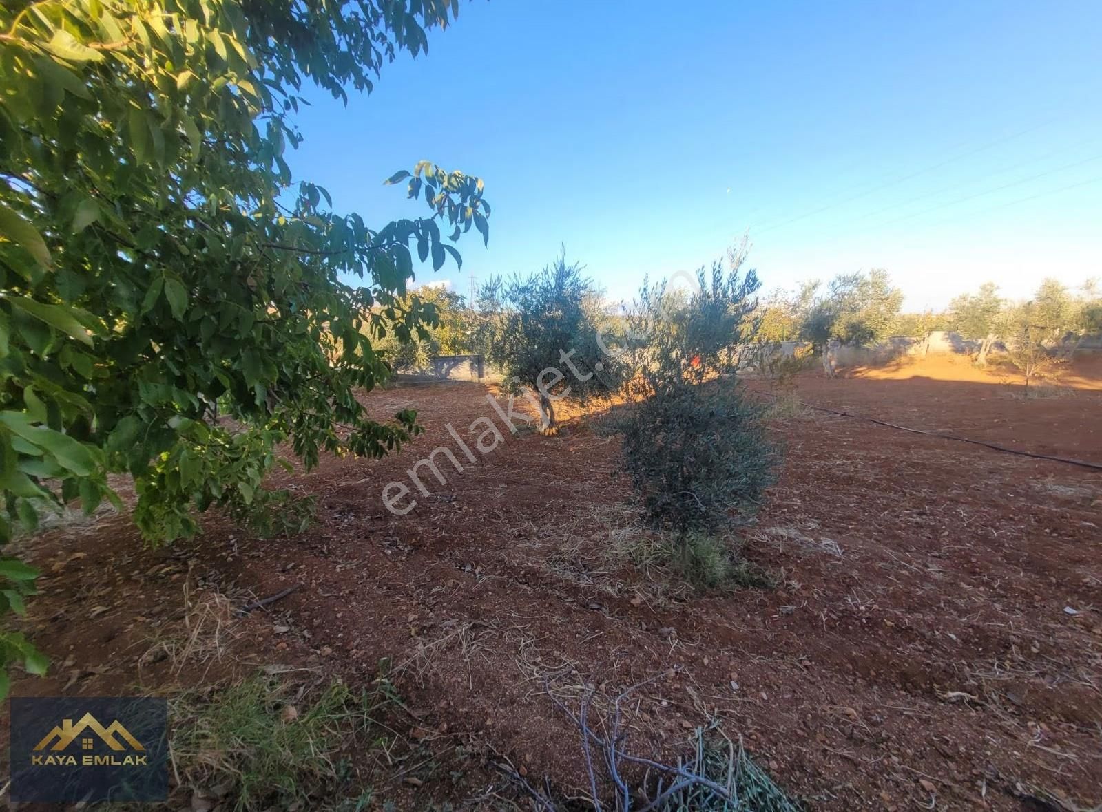 Kürümde Asfalt Üzeri Satılık Bağ Evi - Görsel 17