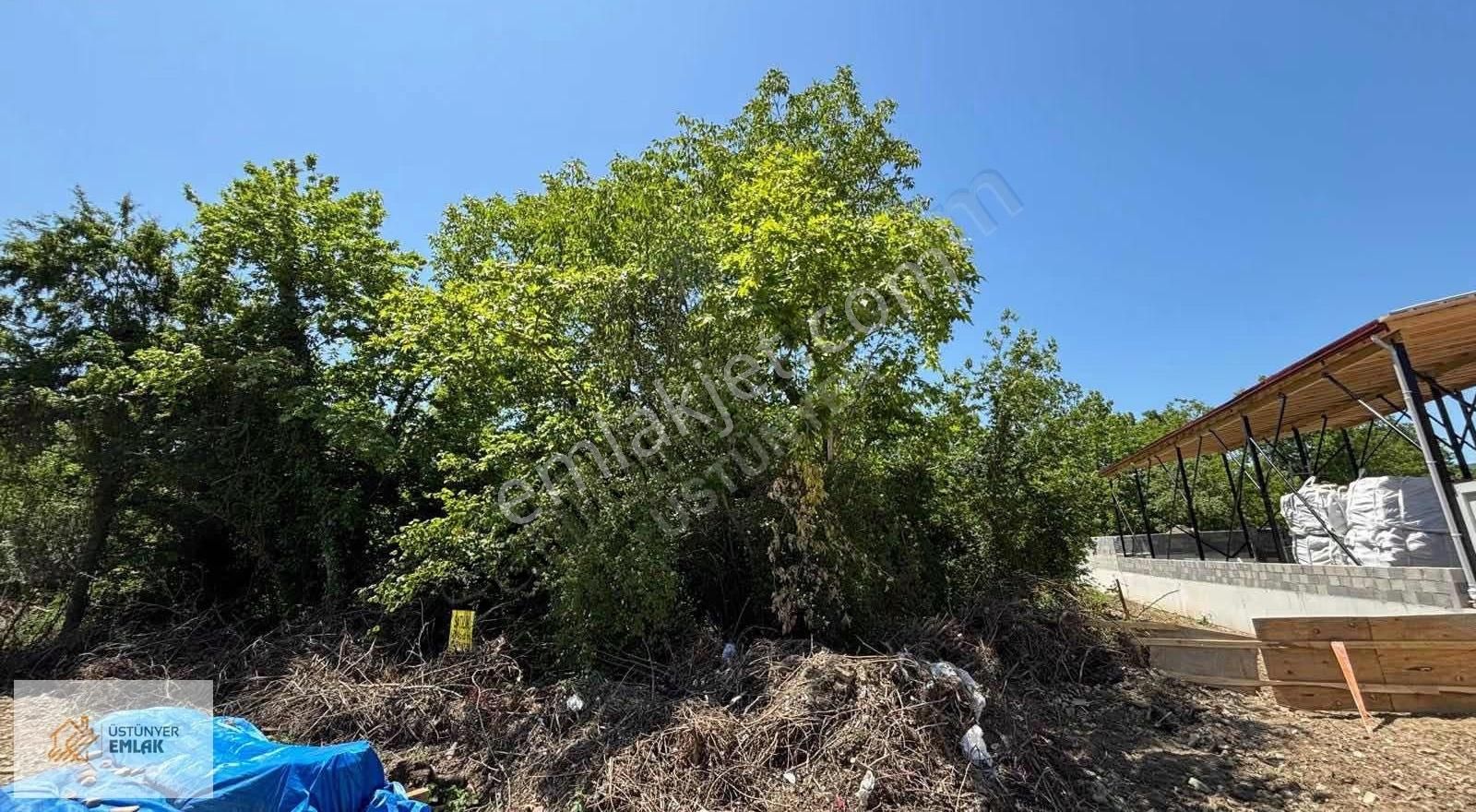 Bartın Kozcağız'da Sanayi İmarlı Satılık 1.375 M2 Arsa - Görsel 3