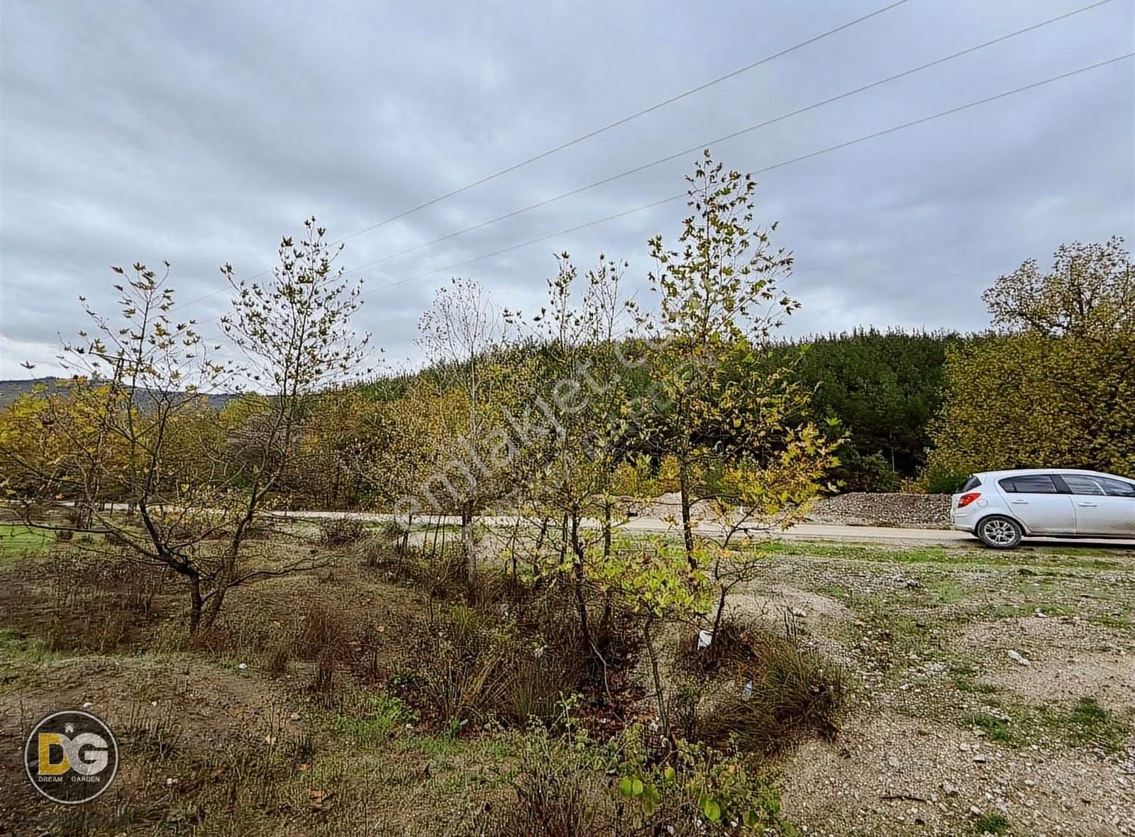 Bursa Demirtaş Sakarya Asfalta Cephe Hobi Bahçesi - Görsel 6