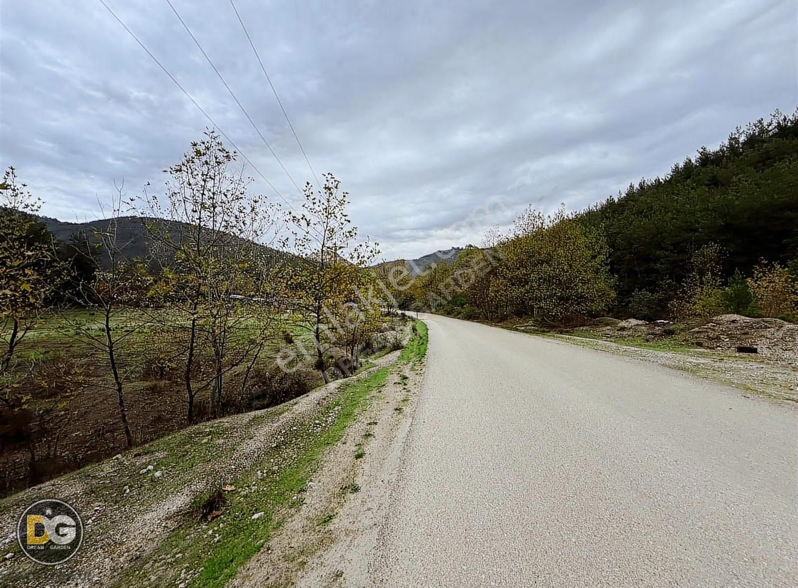 Bursa Demirtaş Sakarya Asfalta Cephe Hobi Bahçesi - Görsel 12