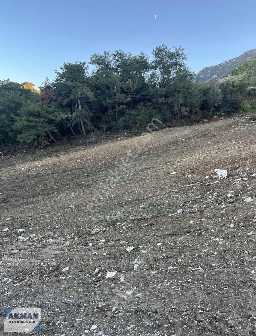 Kurtuluş Mh 7.775 M2 Köşe Tarla - Görsel 11