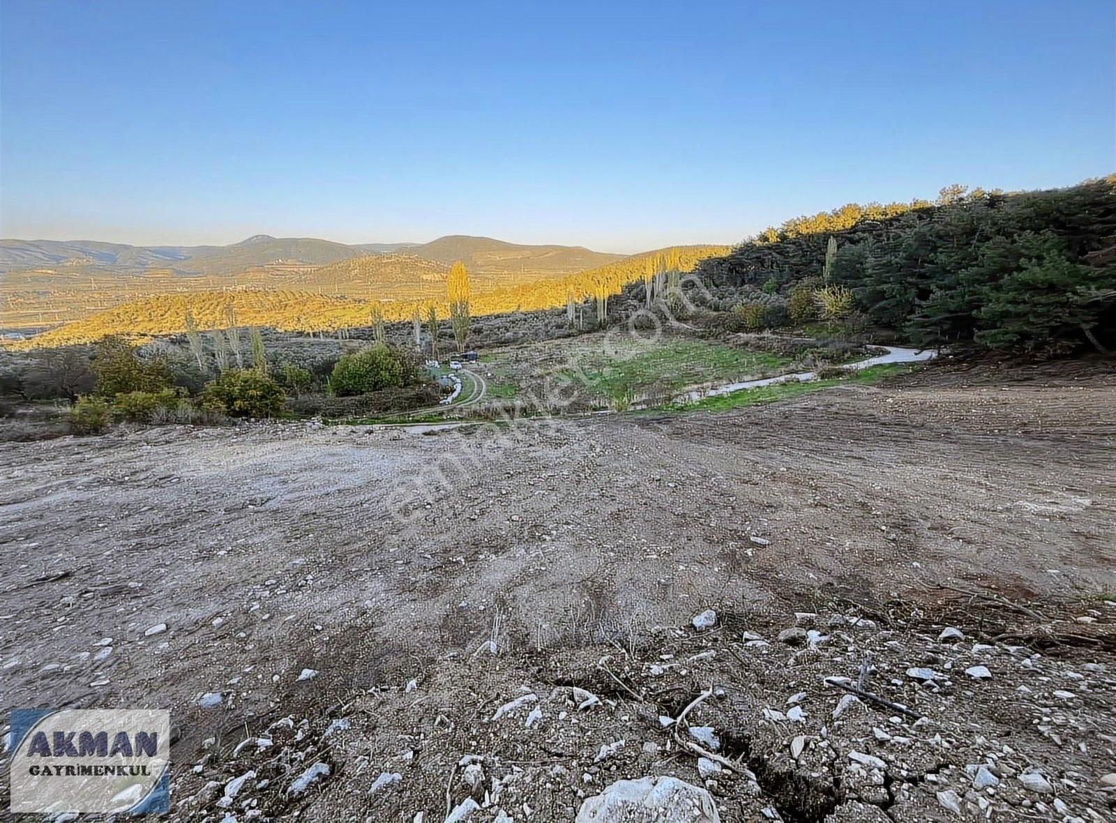 Kurtuluş Mh 7.775 M2 Köşe Tarla - Görsel 3