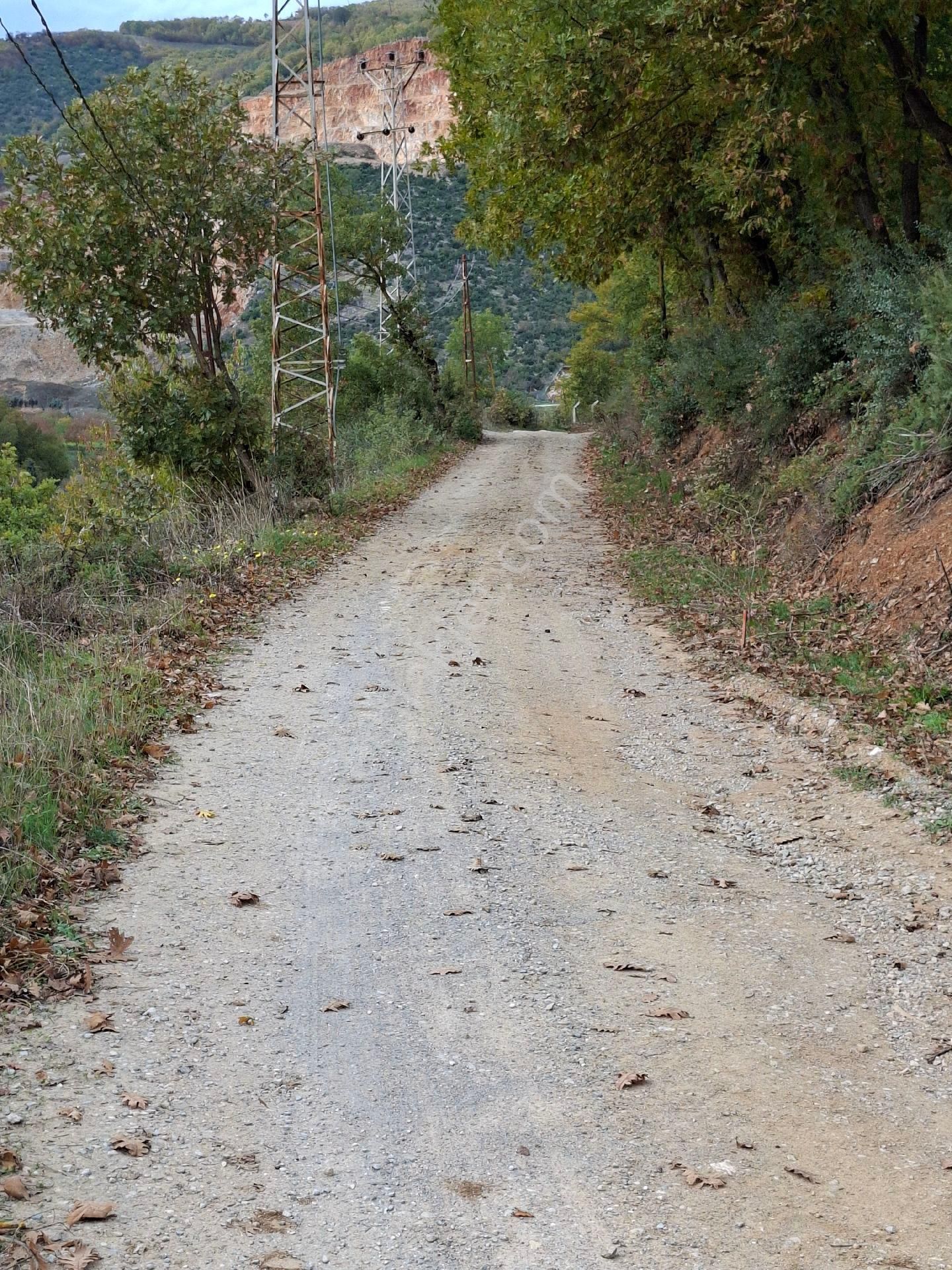 İznik Güven Emlaktan Satılık Hurma Bahçesi. - Görsel 7