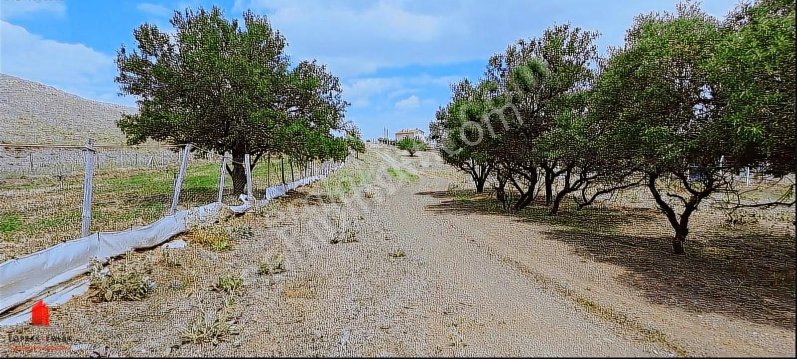 Çayırbağında 1400m2 İmar Planında Satılık Bahçe - Görsel 14