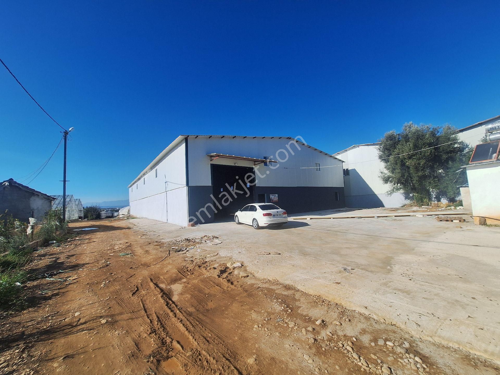 Aksu Hacialiler De 900 M2 Sand - Görsel 3