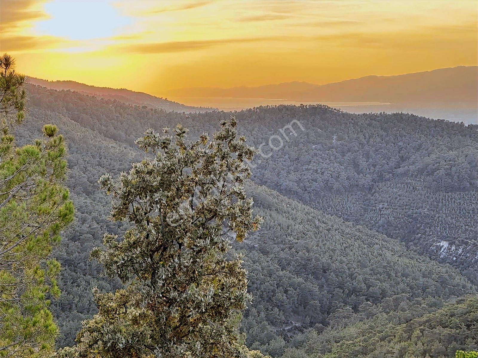 Körfezin En Nadide Manzarasına Sahip Yapılaşmaya Uygun Bağ - Görsel 4