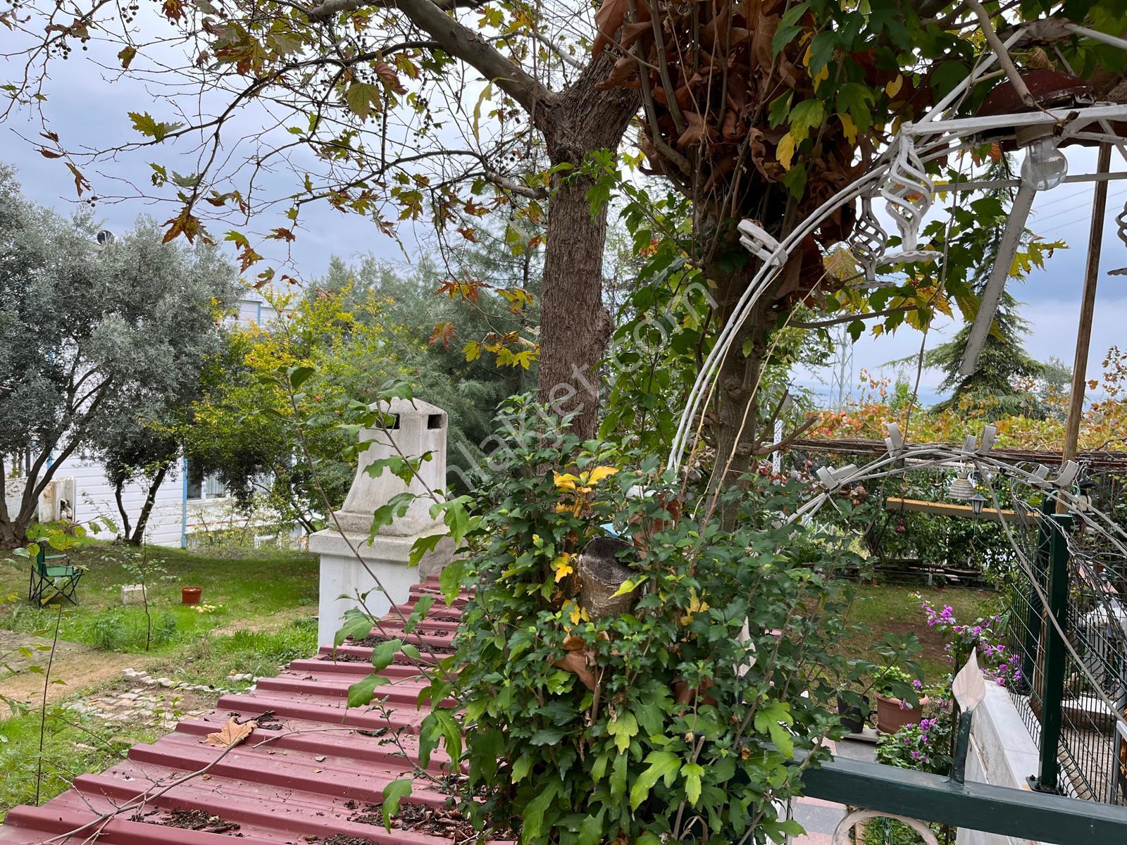 Se&as Exclusıve: 250 M² Arsada, Deniz Manzaralı Villa! - Görsel 6