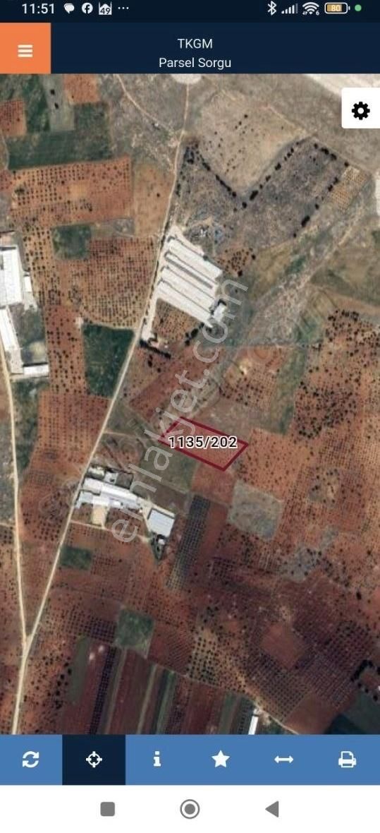 Seyran Emlaktan Körkünde Satılık Tek Tapu Arazi - Görsel 5