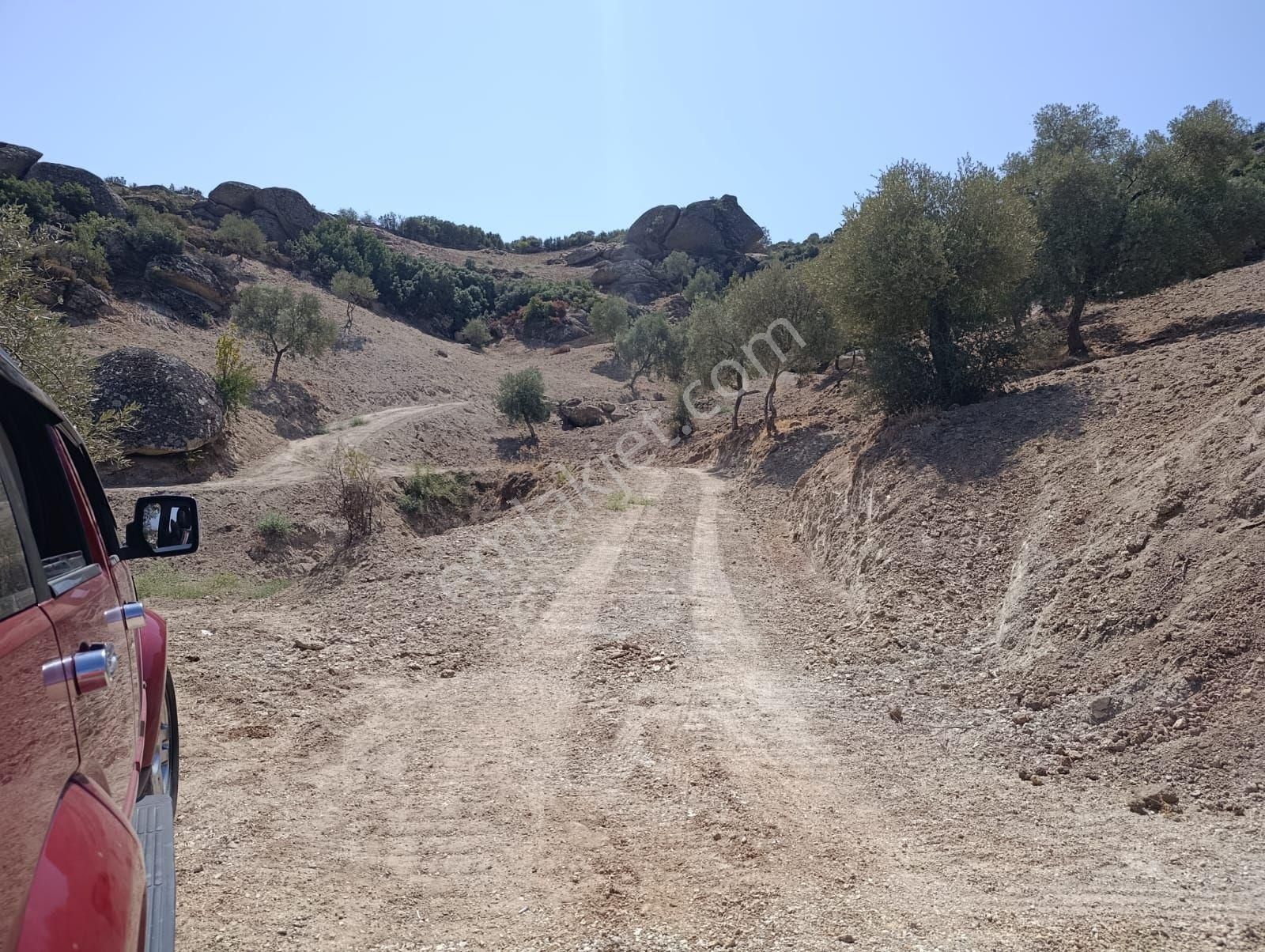 Aydın Koçarlı Gözkayası Köyde 14.996 M2 Uygun Zeytinlik Tarla. Açıklamayı Okuyarak Arayınız. - Görsel 16