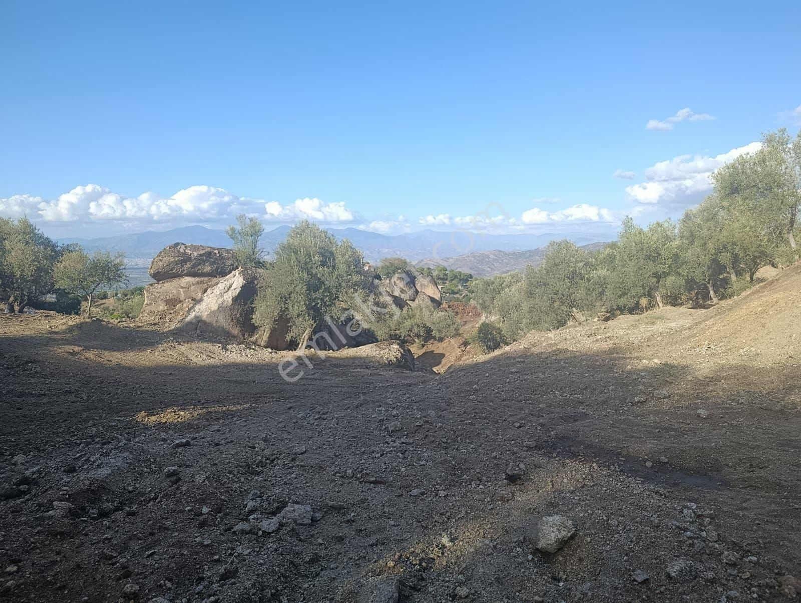 Aydın Koçarlı Gözkayası Köyde 14.996 M2 Uygun Zeytinlik Tarla. Açıklamayı Okuyarak Arayınız. - Görsel 2