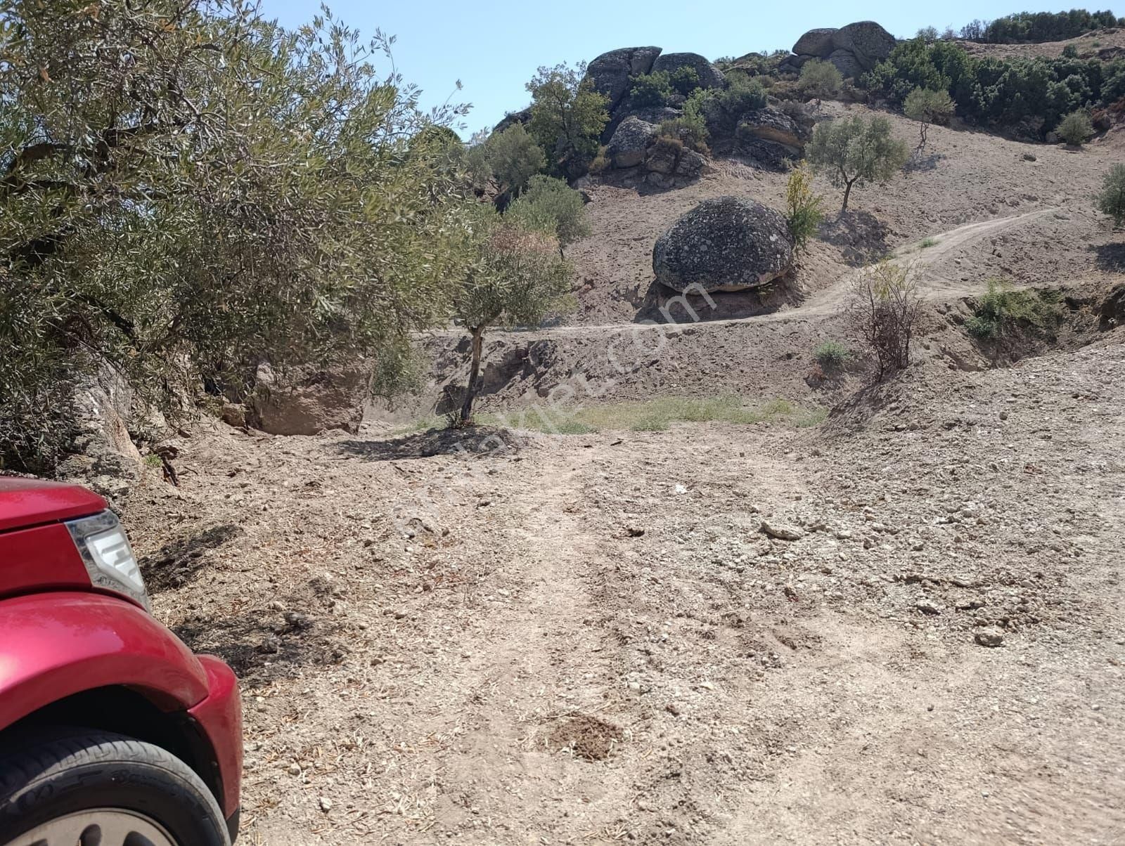 Aydın Koçarlı Gözkayası Köyde 14.996 M2 Uygun Zeytinlik Tarla. Açıklamayı Okuyarak Arayınız. - Görsel 14