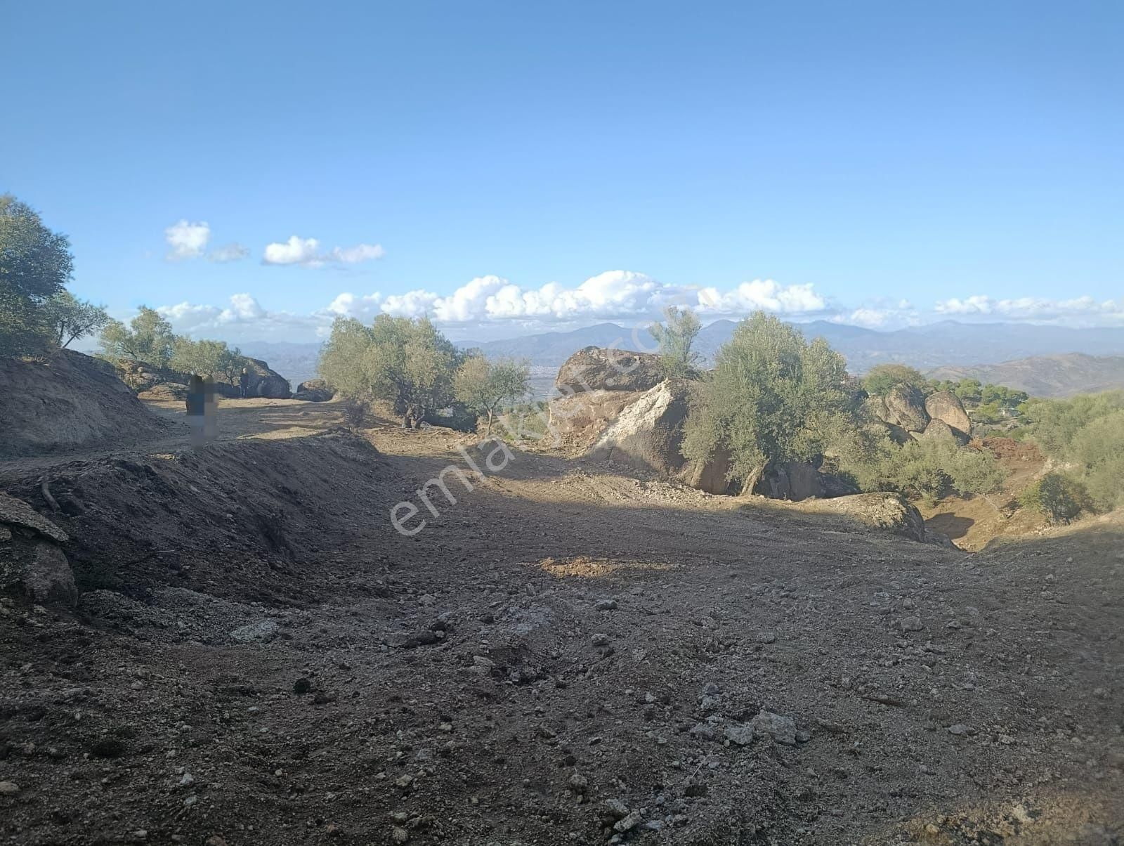 Aydın Koçarlı Gözkayası Köyde 14.996 M2 Uygun Zeytinlik Tarla. Açıklamayı Okuyarak Arayınız. - Görsel 3