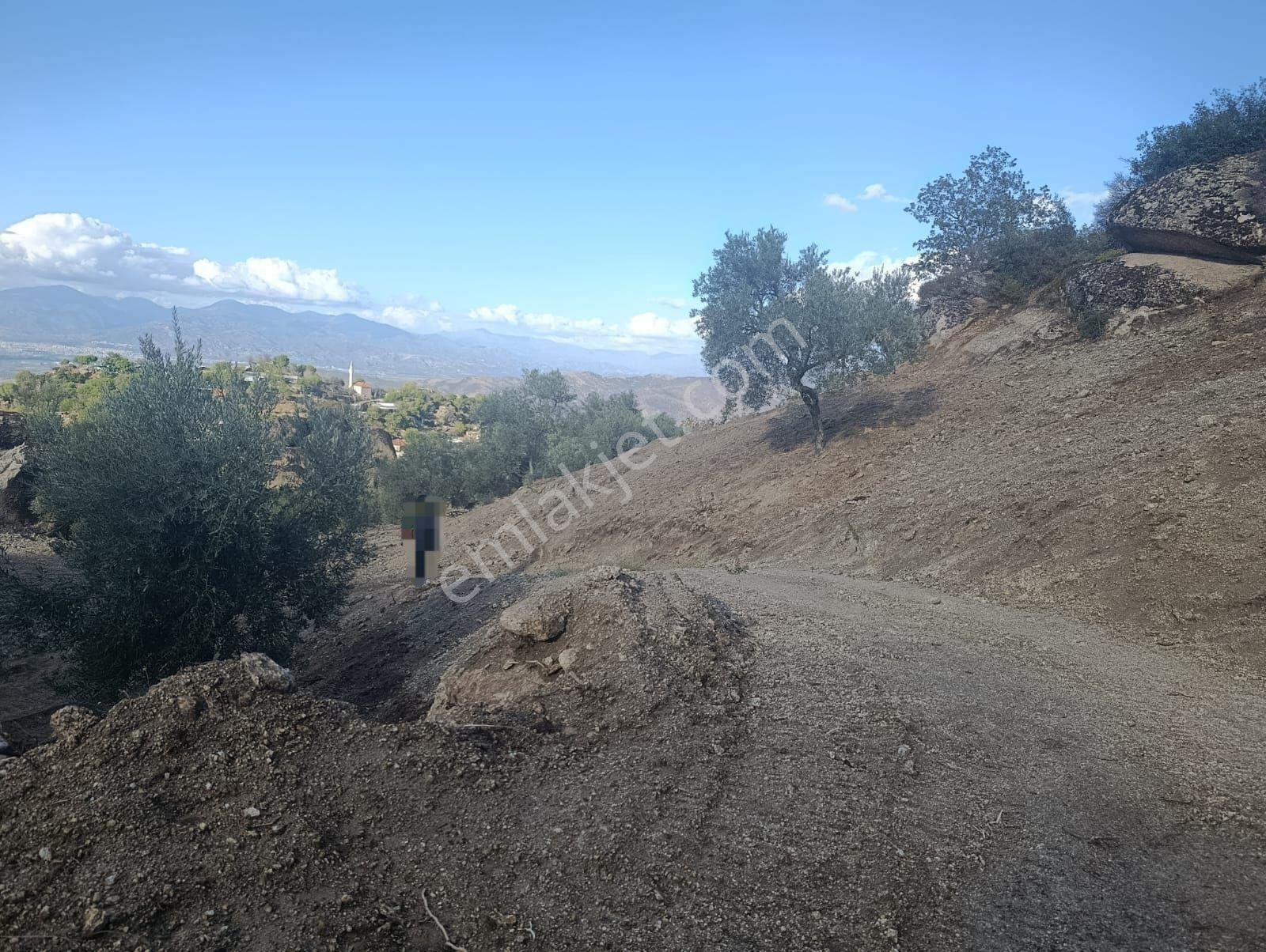 Aydın Koçarlı Gözkayası Köyde 14.996 M2 Uygun Zeytinlik Tarla. Açıklamayı Okuyarak Arayınız. - Görsel 7