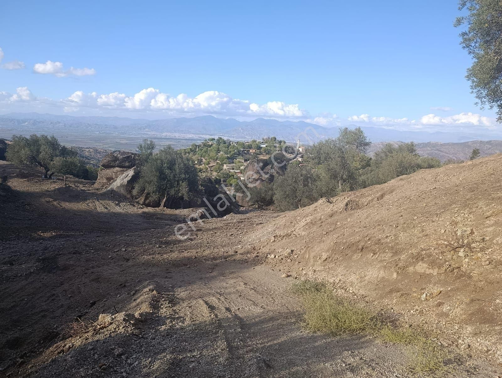 Aydın Koçarlı Gözkayası Köyde 14.996 M2 Uygun Zeytinlik Tarla. Açıklamayı Okuyarak Arayınız. - Görsel 6