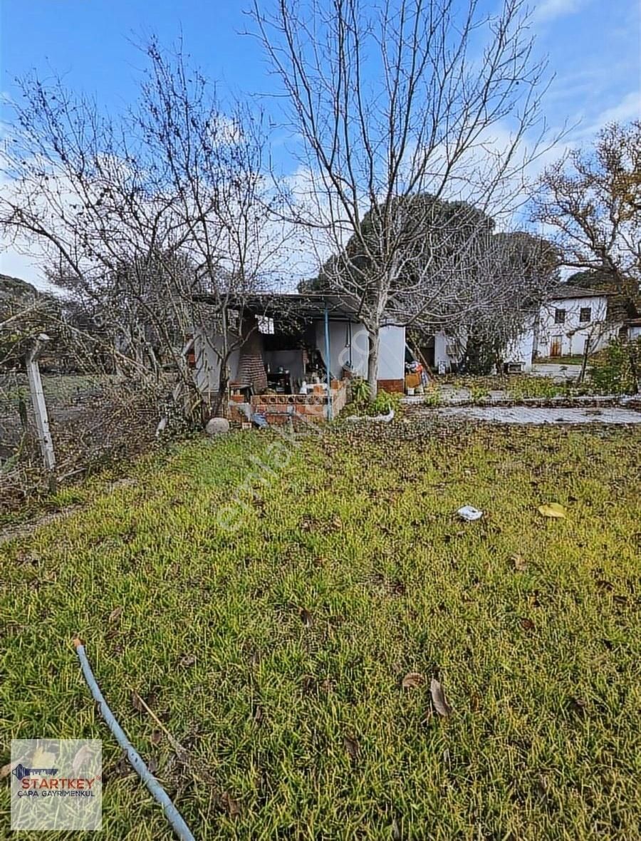 Satılık Bağ Evi Ve Arazisi Bergama Merkeze 5 Dakika - Görsel 7