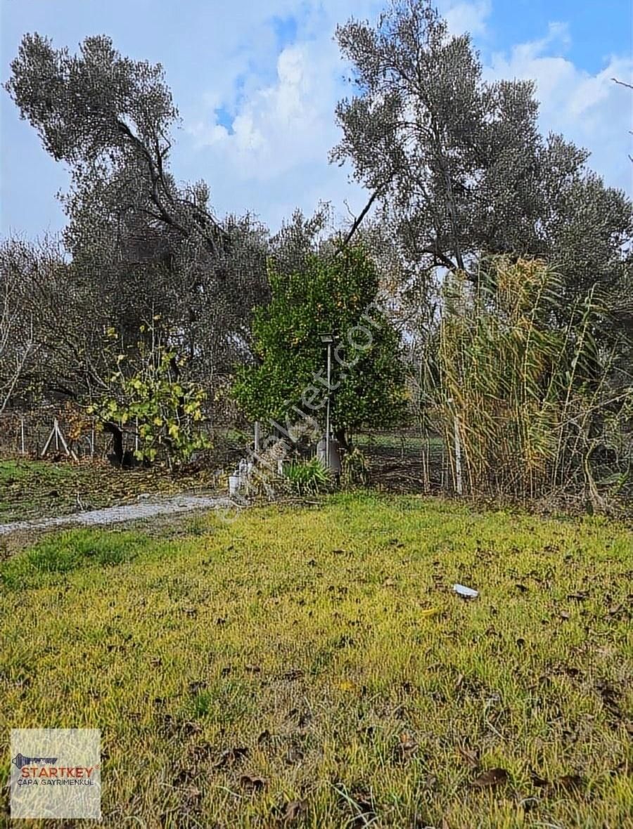 Satılık Bağ Evi Ve Arazisi Bergama Merkeze 5 Dakika - Görsel 15