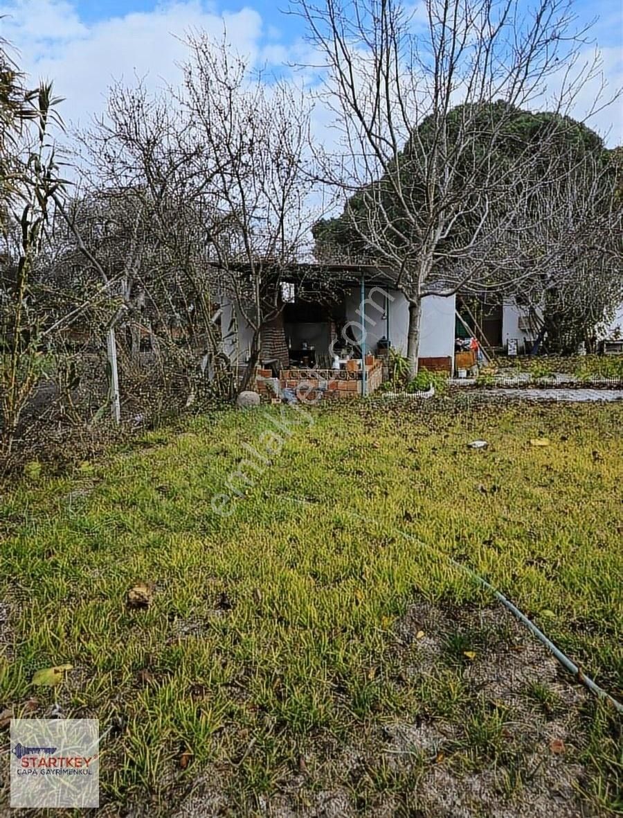 Satılık Bağ Evi Ve Arazisi Bergama Merkeze 5 Dakika - Görsel 11