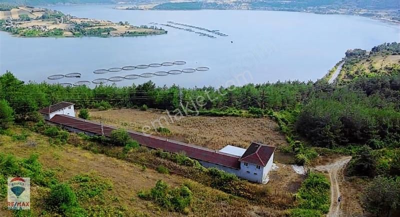 Göl Manzaralı 2 Adet Ev Çiftlik Binası Ve Arazisi - Görsel 3