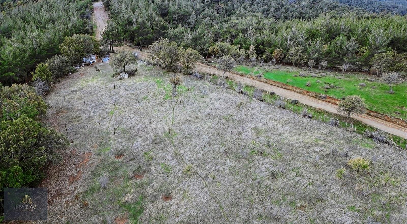 Doğayla İç İçe, Yola Cepheli Geniş Tarla! Karapınar 17.245 M² - Görsel 5