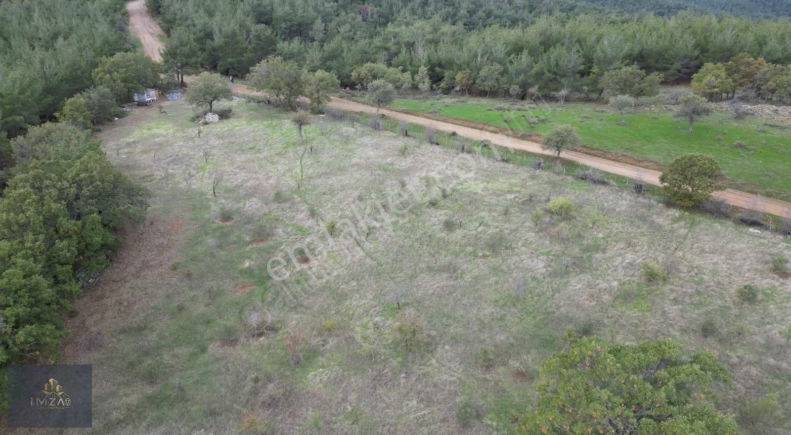 Doğayla İç İçe, Yola Cepheli Geniş Tarla! Karapınar 17.245 M² - Görsel 9