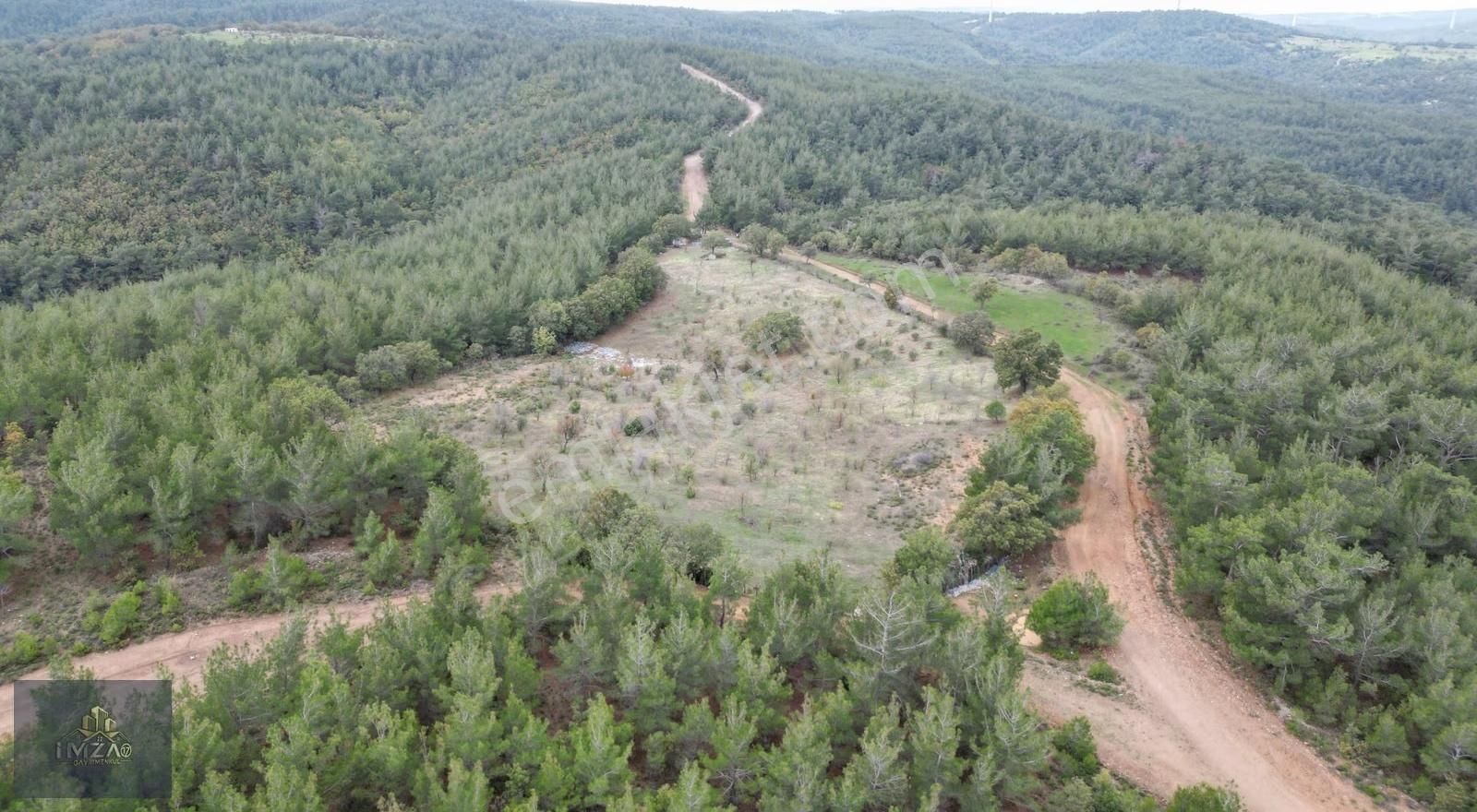 Doğayla İç İçe, Yola Cepheli Geniş Tarla! Karapınar 17.245 M² - Görsel 2