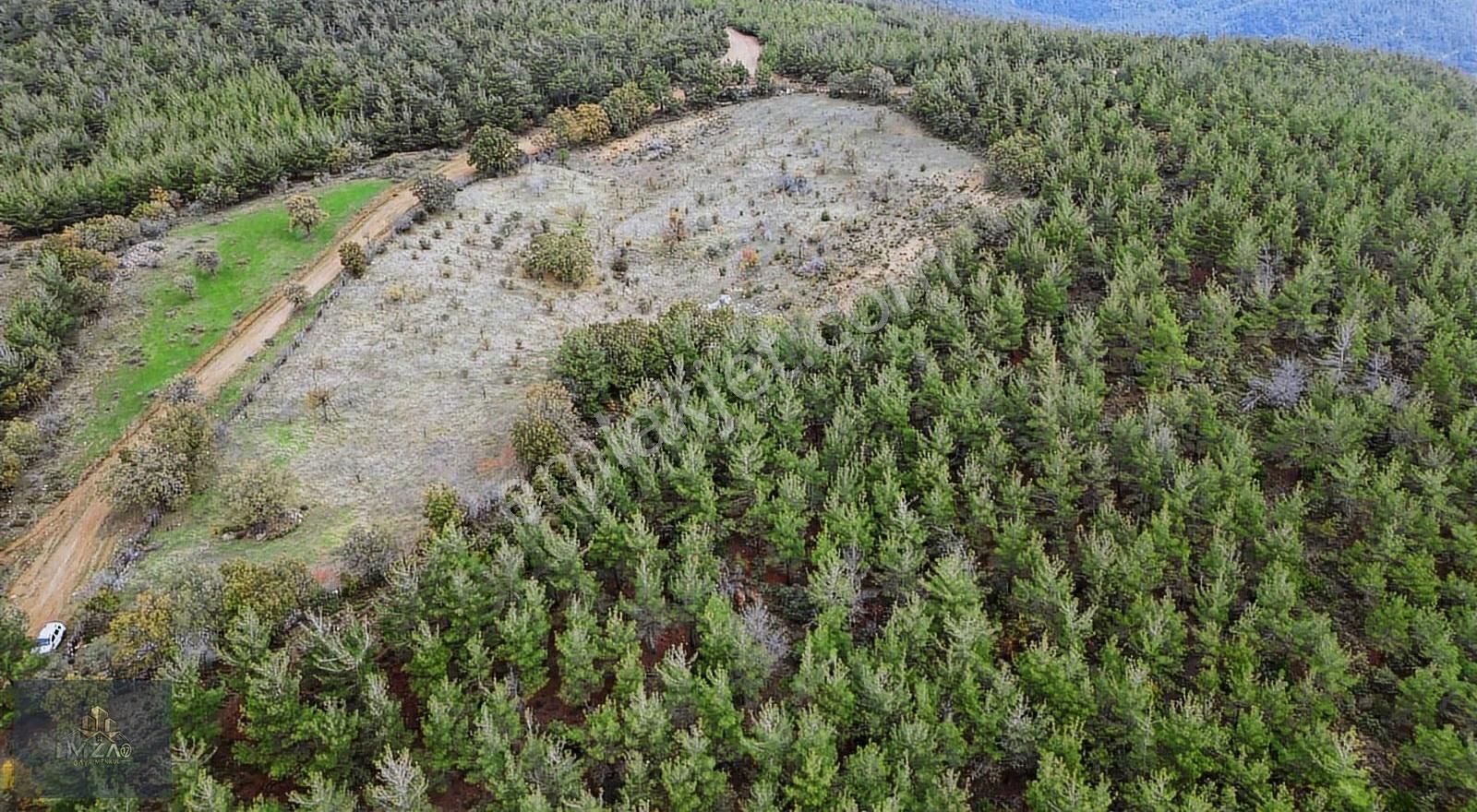 Doğayla İç İçe, Yola Cepheli Geniş Tarla! Karapınar 17.245 M² - Görsel 13