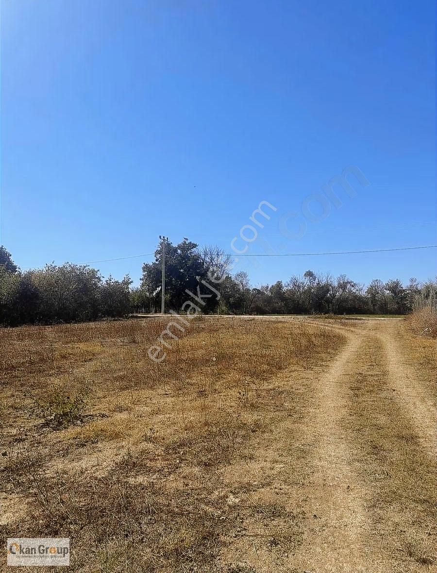 Okan Group'tan Nilüfer'de Sanayi Bölgesine 1 Km Fırsat Arazi - Görsel 7