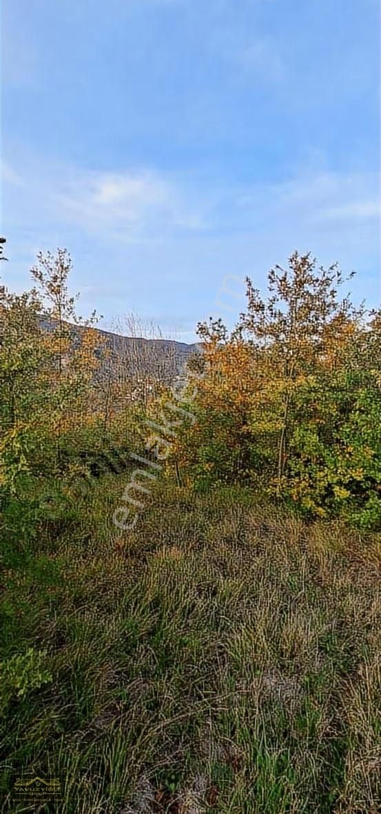 Hendek Merkeze Yakın Güzel Lokasyonda 15.719m² Satılık Arazi - Görsel 22