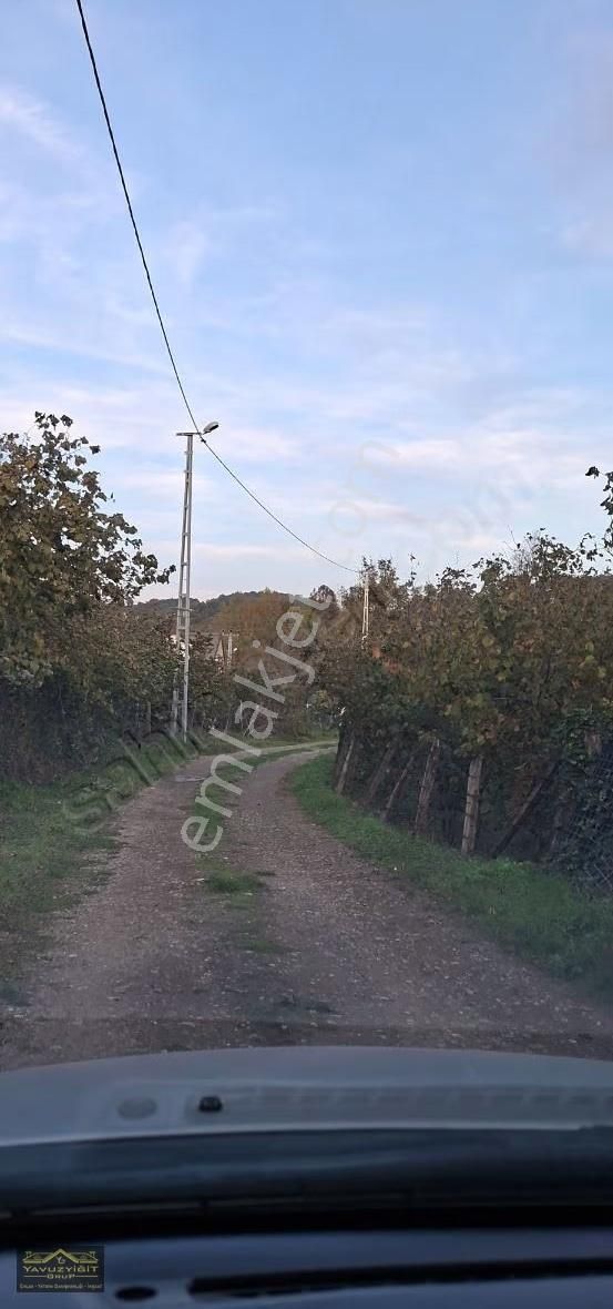 Hendek Merkeze Yakın Güzel Lokasyonda 15.719m² Satılık Arazi - Görsel 2