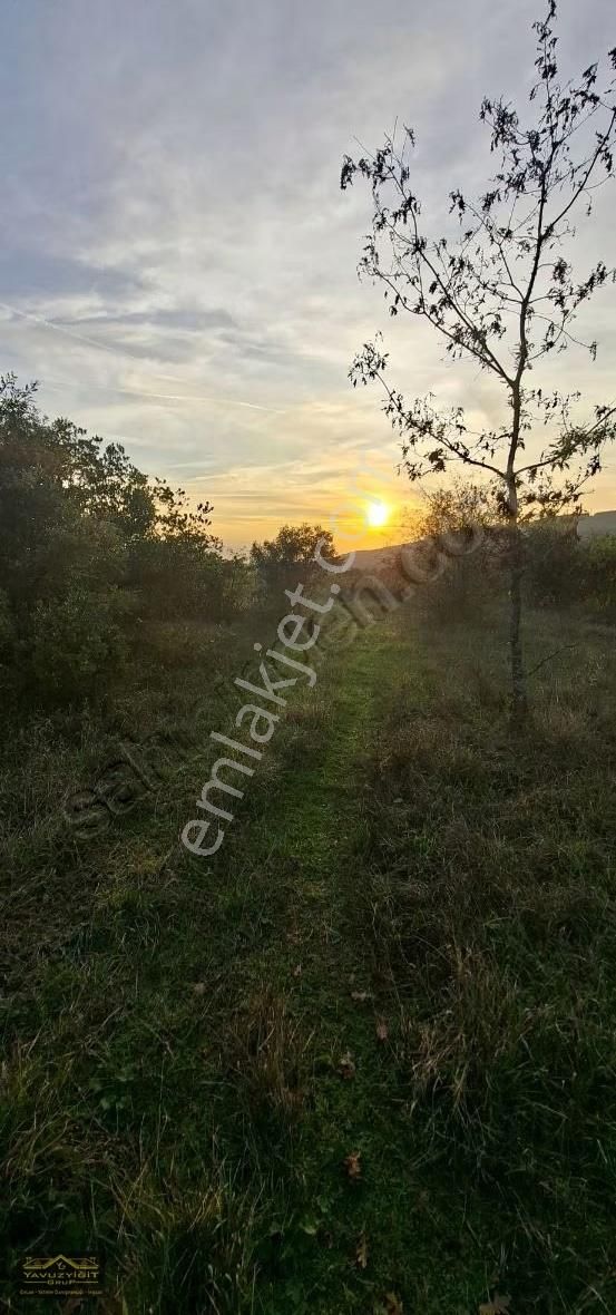 Hendek Merkeze Yakın Güzel Lokasyonda 15.719m² Satılık Arazi - Görsel 10