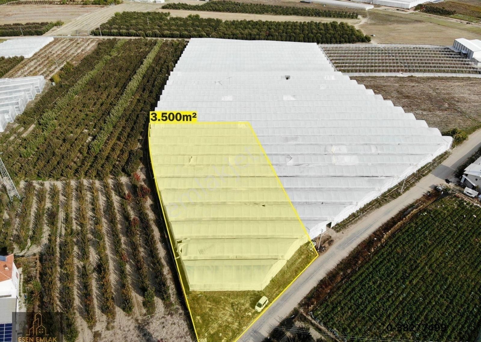 Elmalı Eymir Mahalle Merkezinde Yola Cephe Satılık 3.500m² Boş Tarla - Görsel 7