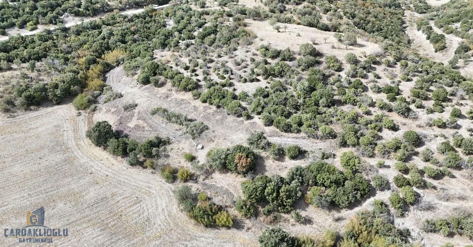 Acil Satılık Kısa Süreliğine 3266 M2 - Görsel 7