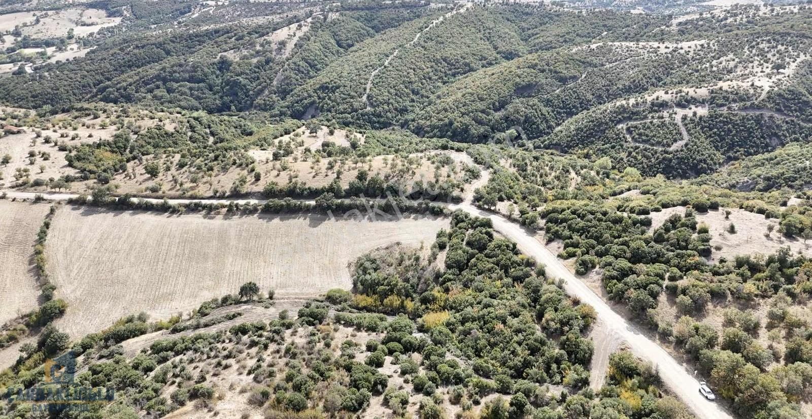 Acil Satılık Kısa Süreliğine 3266 M2 - Görsel 15