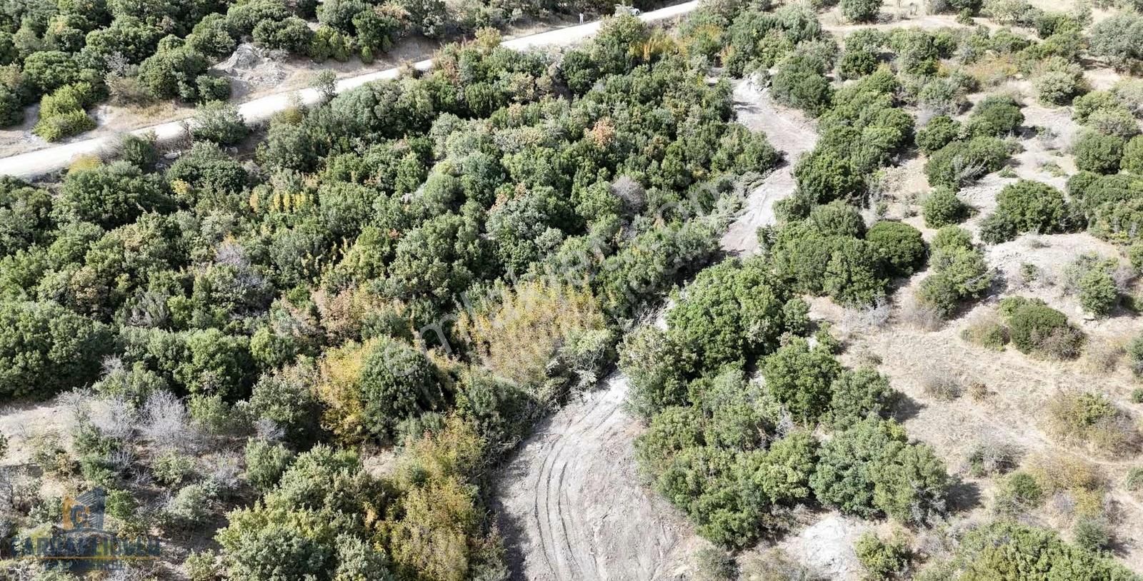 Acil Satılık Kısa Süreliğine 3266 M2 - Görsel 2