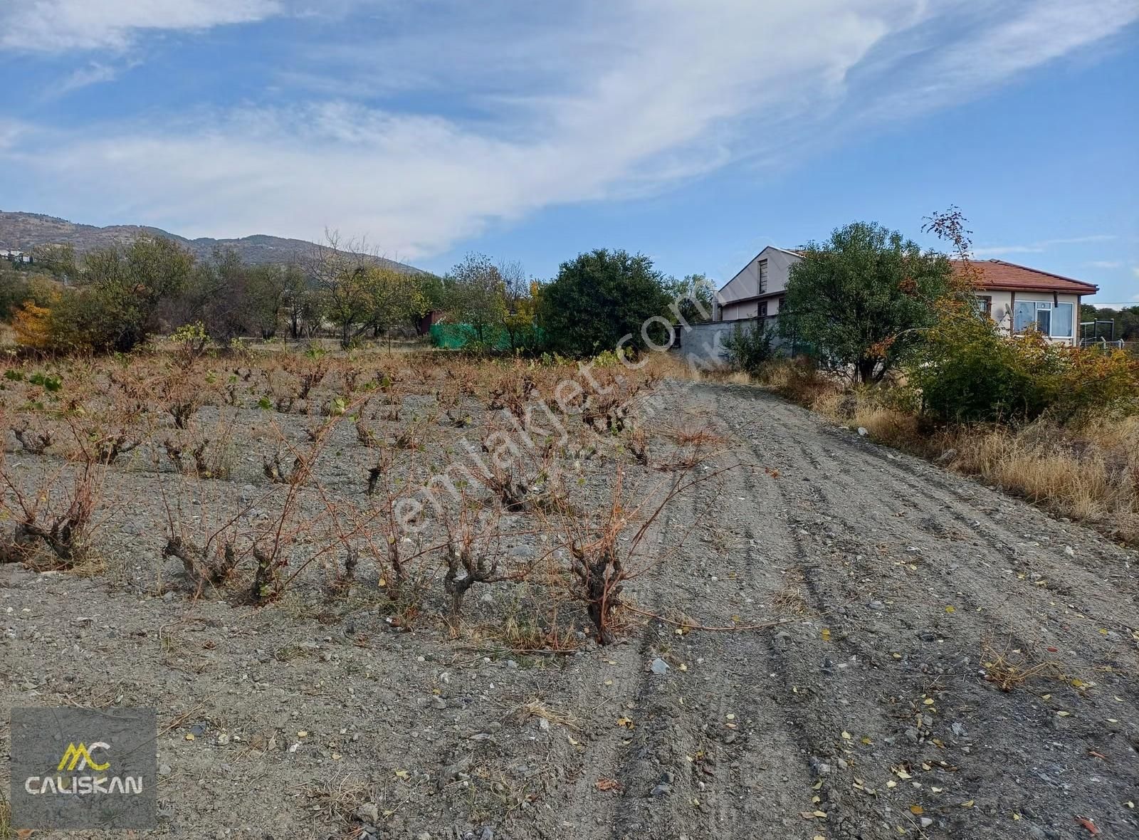 Emirseyit Kasabası Satılık Tarla 1665 M2 Tek Tapu- Yolu Açık - Görsel 2