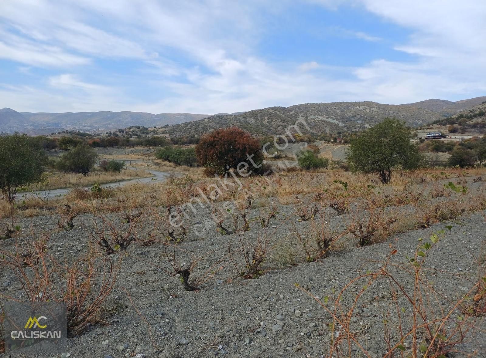 Emirseyit Kasabası Satılık Tarla 1665 M2 Tek Tapu- Yolu Açık - Görsel 5