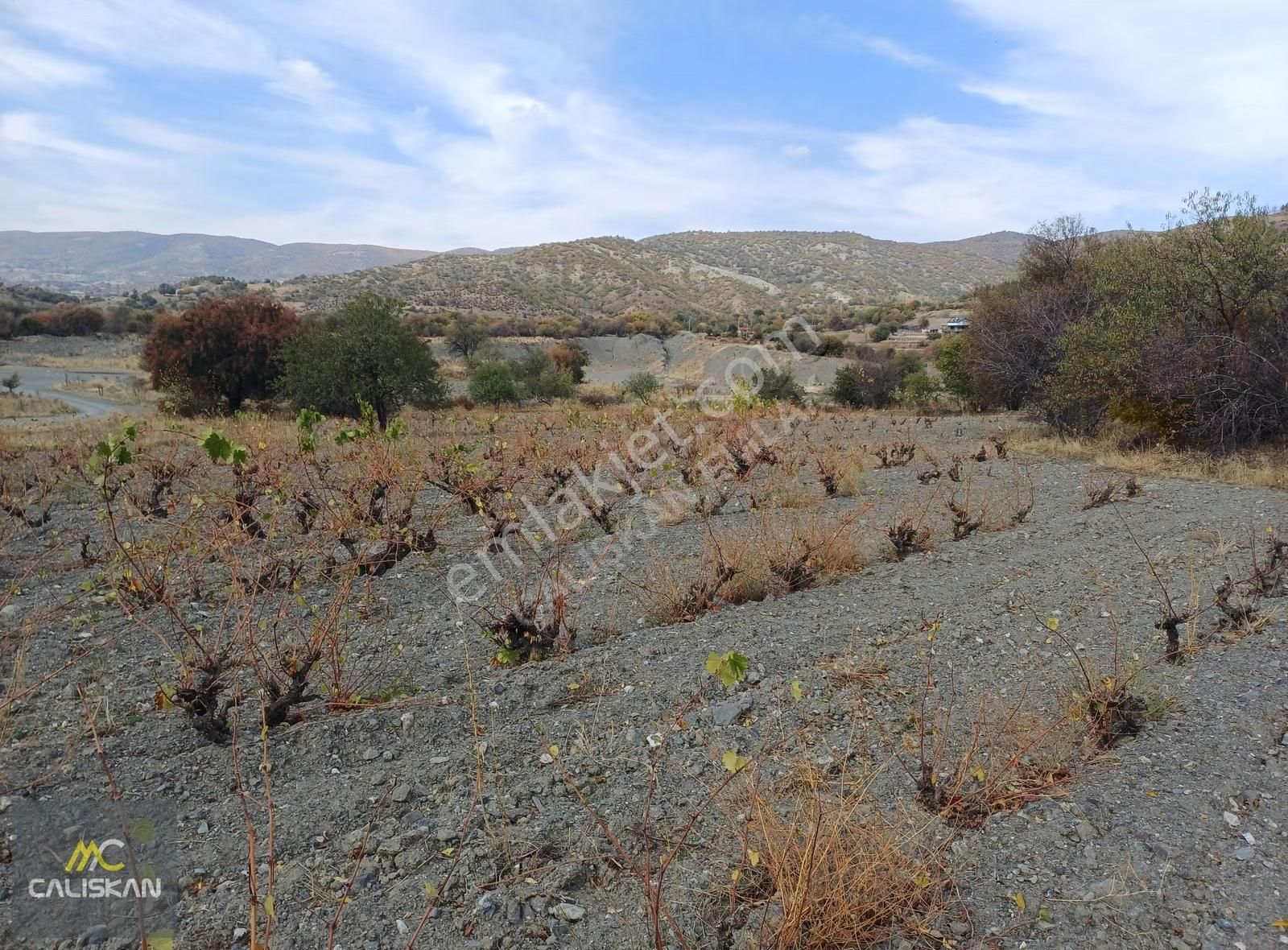 Emirseyit Kasabası Satılık Tarla 1665 M2 Tek Tapu- Yolu Açık - Görsel 9
