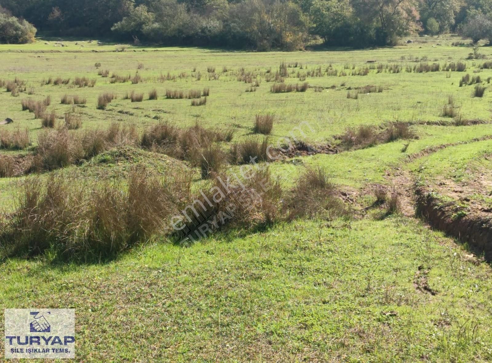 Şile Teke Köyünde Doğayla İç İçe Huzurlu Bir Yaşam Alanı - Görsel 16