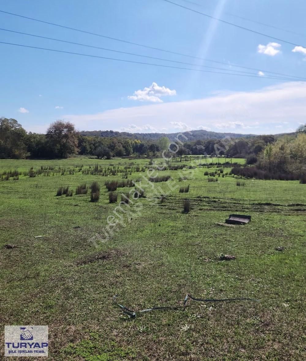 Şile Teke Köyünde Doğayla İç İçe Huzurlu Bir Yaşam Alanı