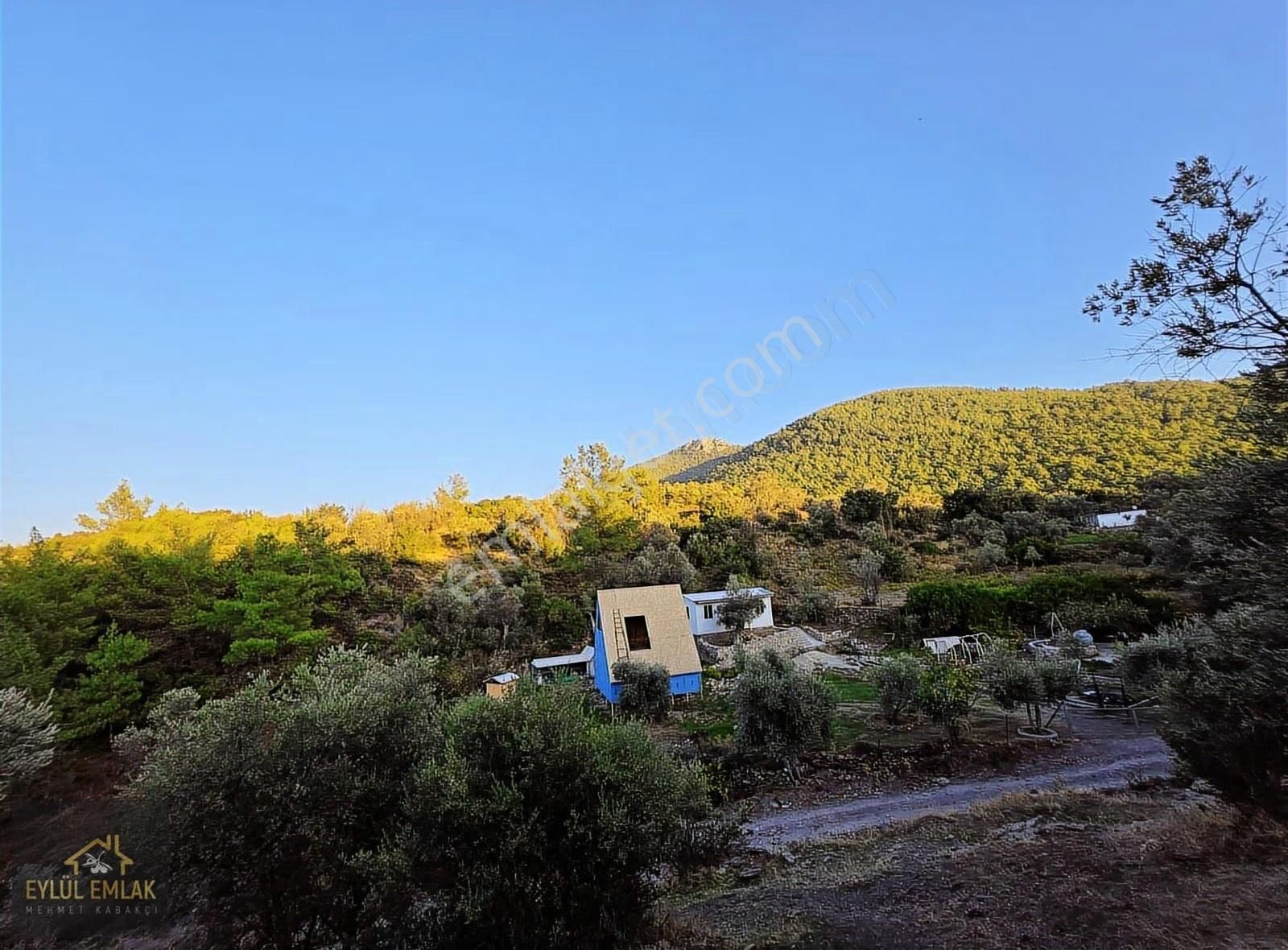 Milas Balcılarda Satılık Fırsat Yol Cepheli Tarla Müstakil Tapu - Görsel 20